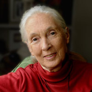 Jane Goodall Headshot